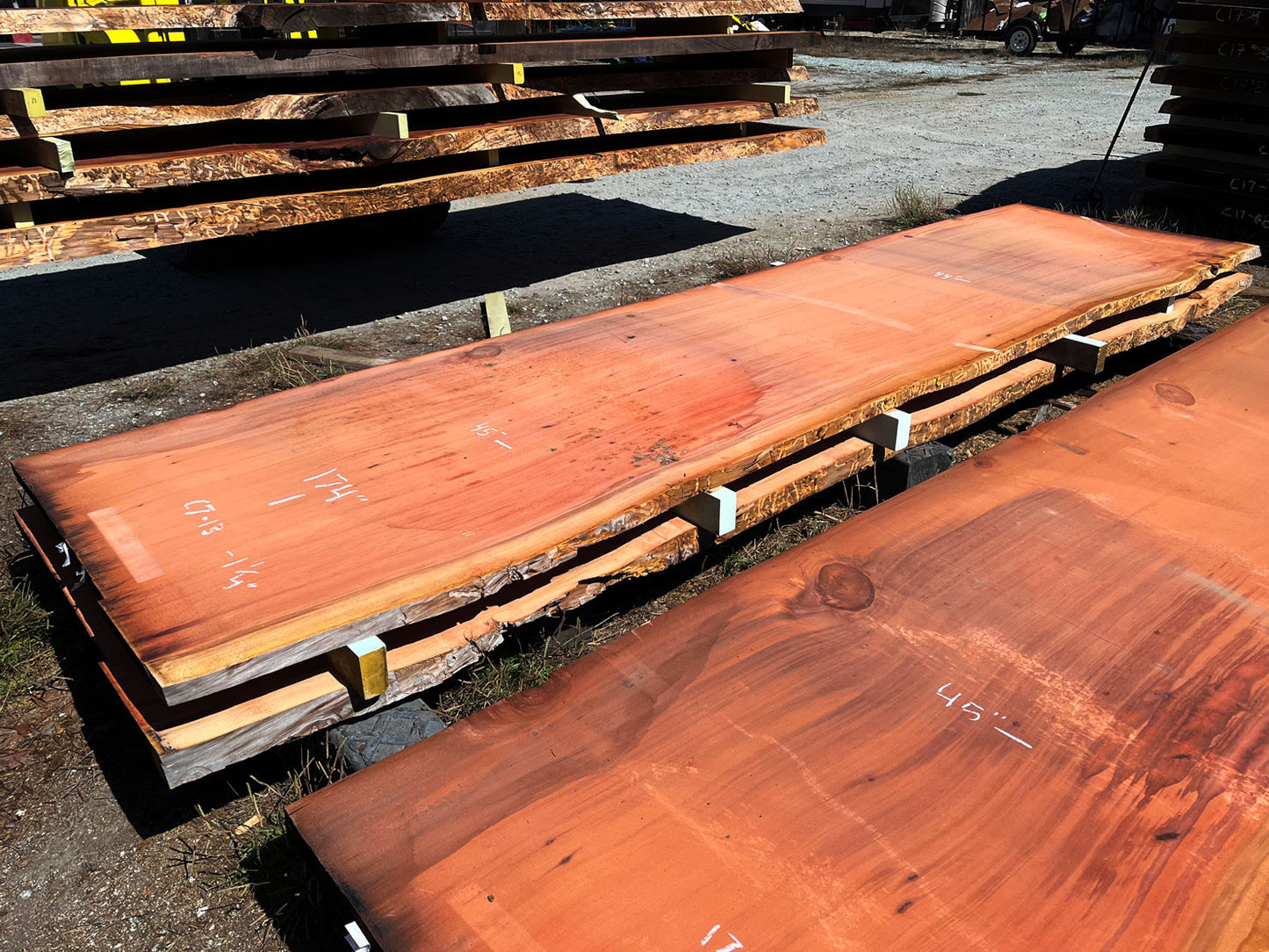 Giant Sequoia Live Edge Slab – 14.5' x 45" x 1.25" – Old Growth, Air-Dried – #C7-13