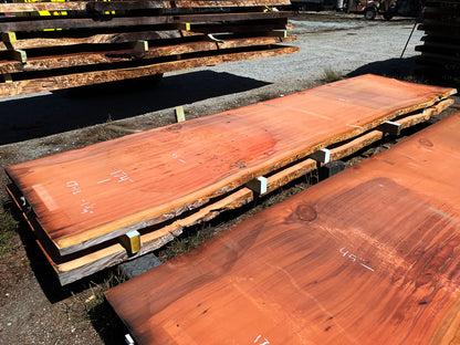 Giant Sequoia Live Edge Slab – 14.5' x 45" x 1.25" – Old Growth, Air-Dried – #C7-13