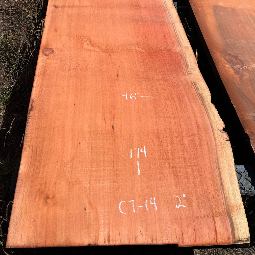 Giant Sequoia Live Edge Slab – 14.5' x 46" x 1.25" – Old Growth, Air-Dried – #C7-14