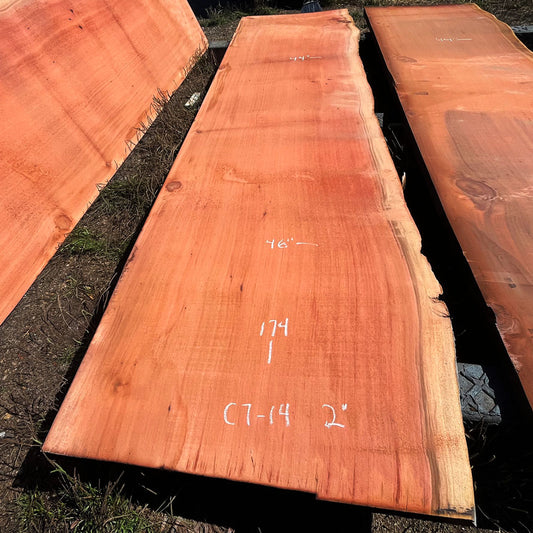 Giant Sequoia Live Edge Slab – 14.5' x 46" x 1.25" – Old Growth, Air-Dried – #C7-14