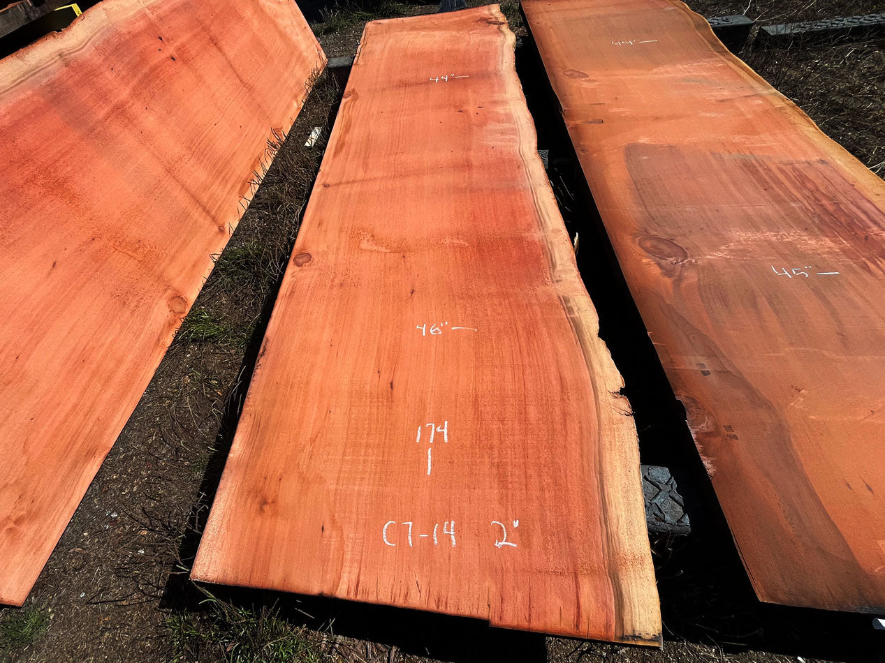 Giant Sequoia Live Edge Slab – 14.5' x 46" x 1.25" – Old Growth, Air-Dried – #C7-14