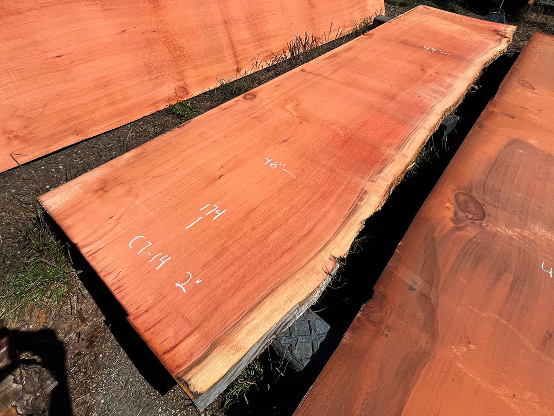 Giant Sequoia Live Edge Slab – 14.5' x 46" x 1.25" – Old Growth, Air-Dried – #C7-14