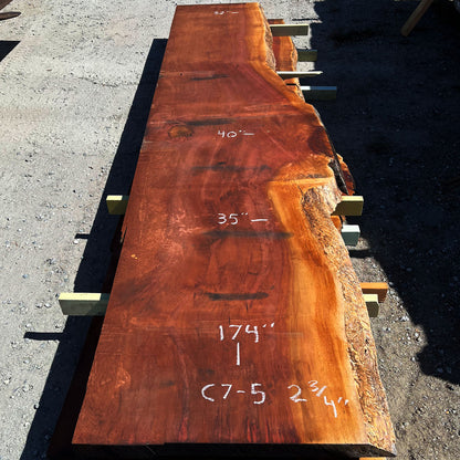 Giant Sequoia Live Edge Slab – 14.5' x 40" x 2.75" – Old Growth, Air-Dried – #C7-5