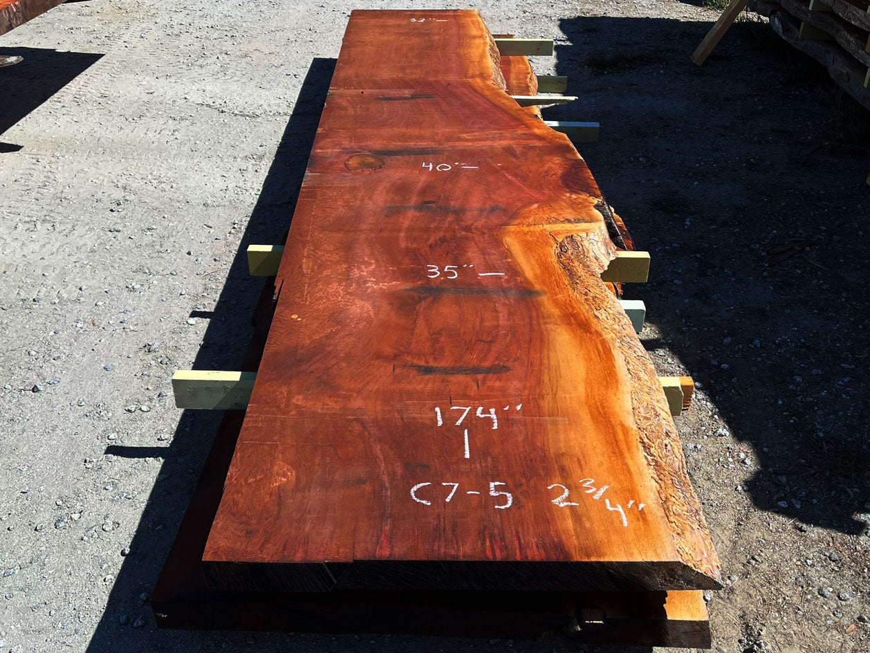 Giant Sequoia Live Edge Slab – 14.5' x 40" x 2.75" – Old Growth, Air-Dried – #C7-5