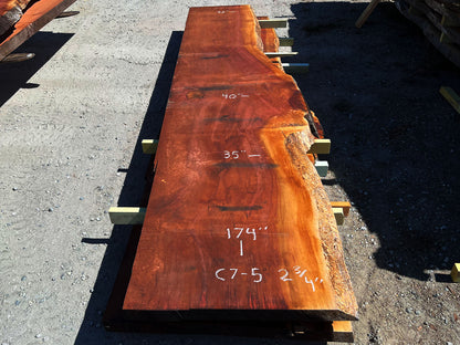 Giant Sequoia Live Edge Slab – 14.5' x 40" x 2.75" – Old Growth, Air-Dried – #C7-5