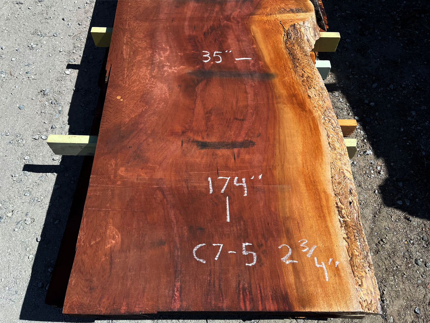 Giant Sequoia Live Edge Slab – 14.5' x 40" x 2.75" – Old Growth, Air-Dried – #C7-5