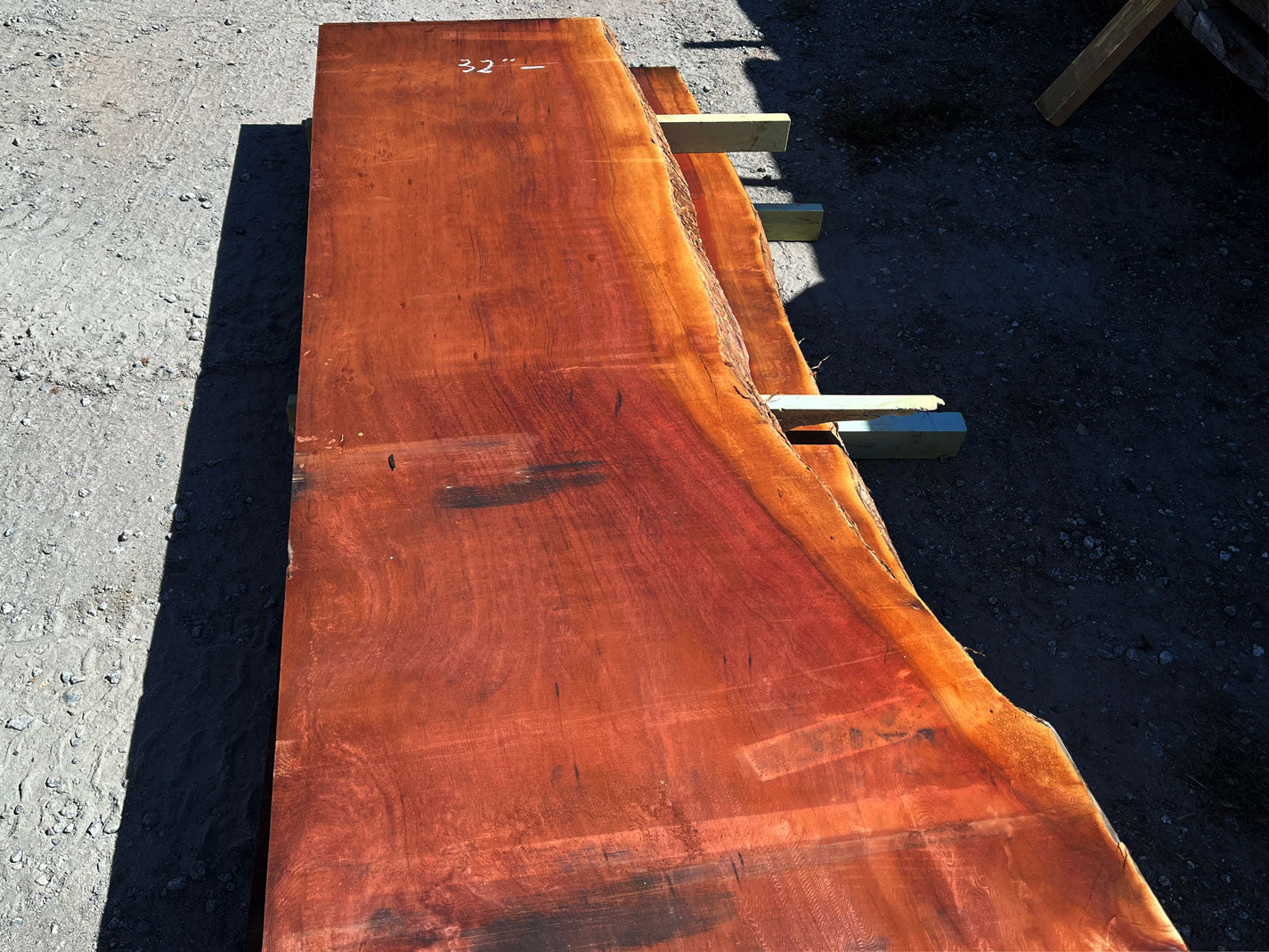 Giant Sequoia Live Edge Slab – 14.5' x 40" x 2.75" – Old Growth, Air-Dried – #C7-5