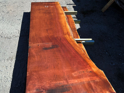Giant Sequoia Live Edge Slab – 14.5' x 40" x 2.75" – Old Growth, Air-Dried – #C7-5