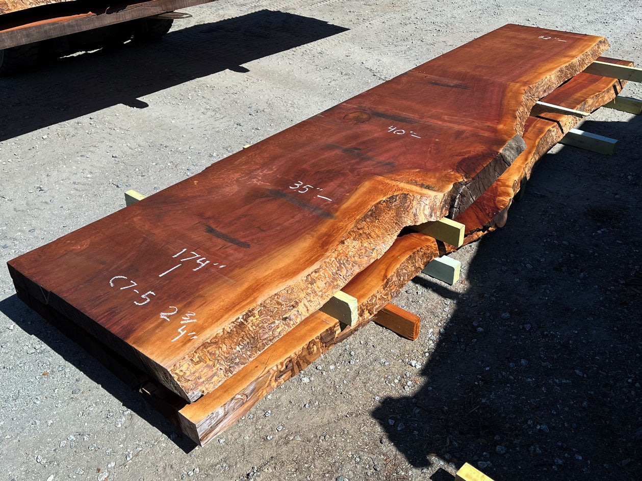 Giant Sequoia Live Edge Slab – 14.5' x 40" x 2.75" – Old Growth, Air-Dried – #C7-5