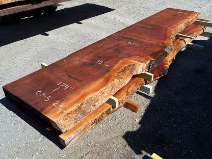Giant Sequoia Live Edge Slab – 14.5' x 40" x 2.75" – Old Growth, Air-Dried – #C7-5