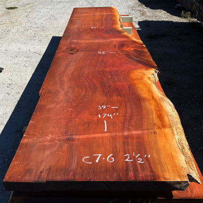 Giant Sequoia Live Edge Slab – 14.5' x 42" x 2.5" – Old Growth, Air-Dried – #C7-6