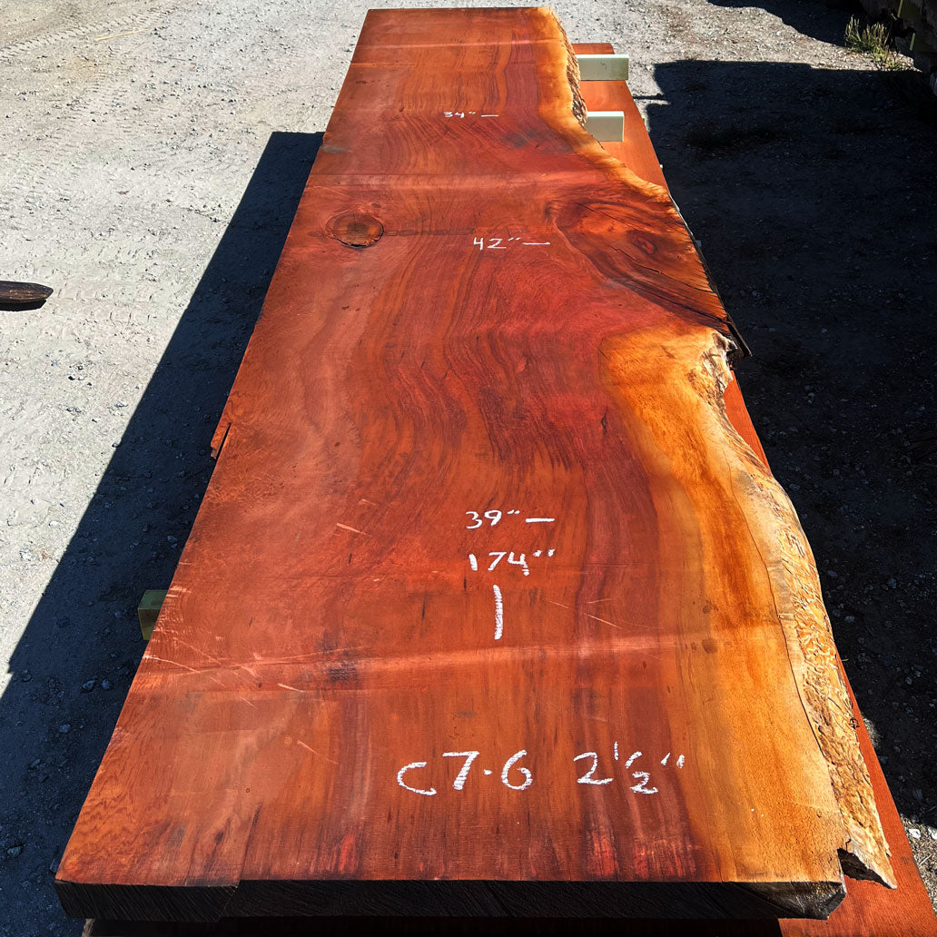 Giant Sequoia Live Edge Slab – 14.5' x 42" x 2.5" – Old Growth, Air-Dried – #C7-6