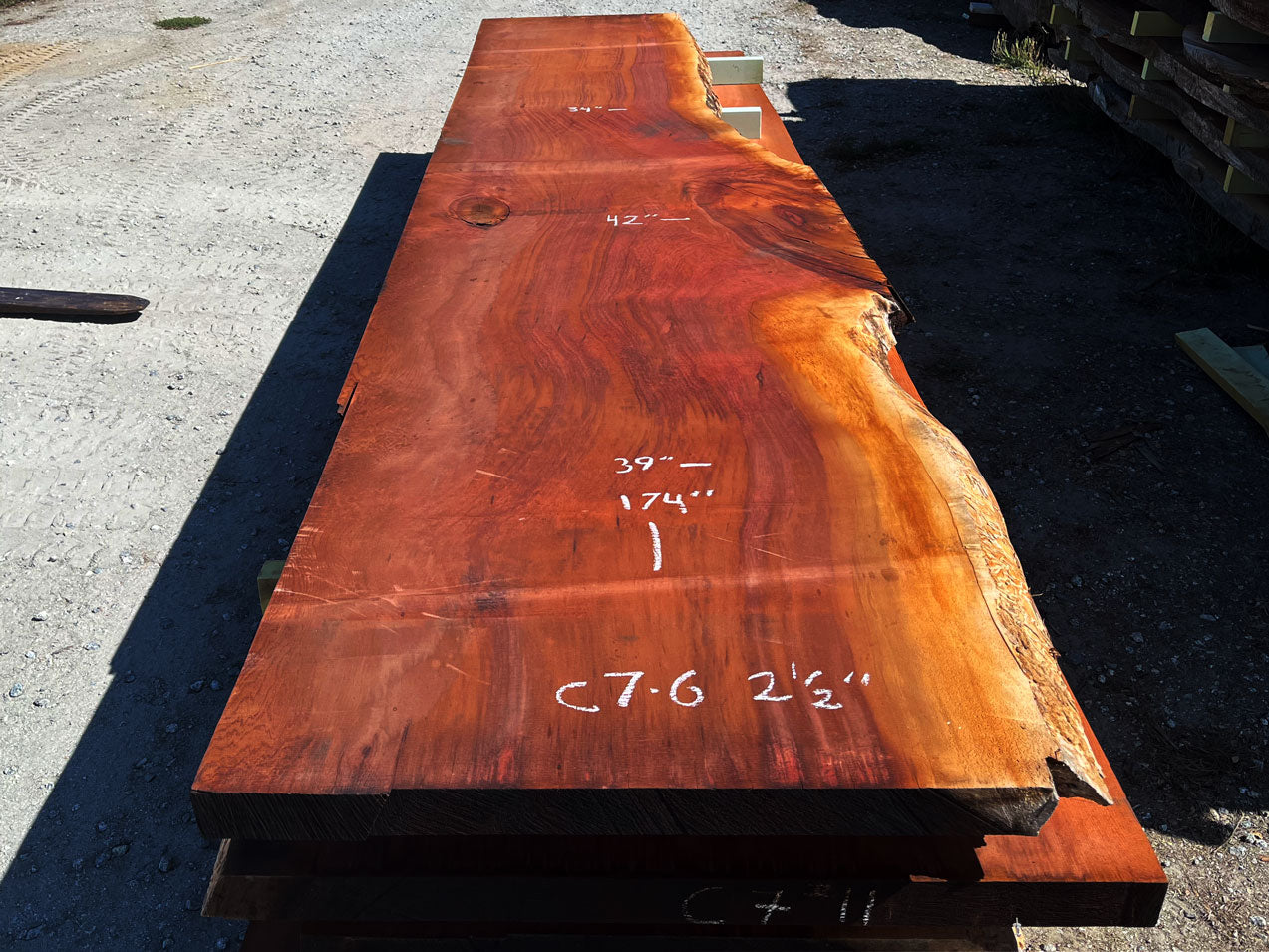 Giant Sequoia Live Edge Slab – 14.5' x 42" x 2.5" – Old Growth, Air-Dried – #C7-6