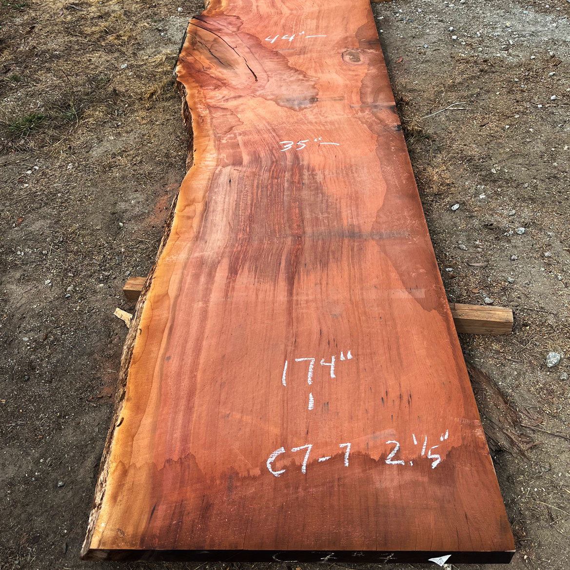 Giant Sequoia Live Edge Slab – 14.5' x 44" x 2.5" – Old Growth, Air-Dried – #C7-7