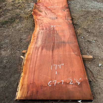 Giant Sequoia Live Edge Slab – 14.5' x 44" x 2.5" – Old Growth, Air-Dried – #C7-7