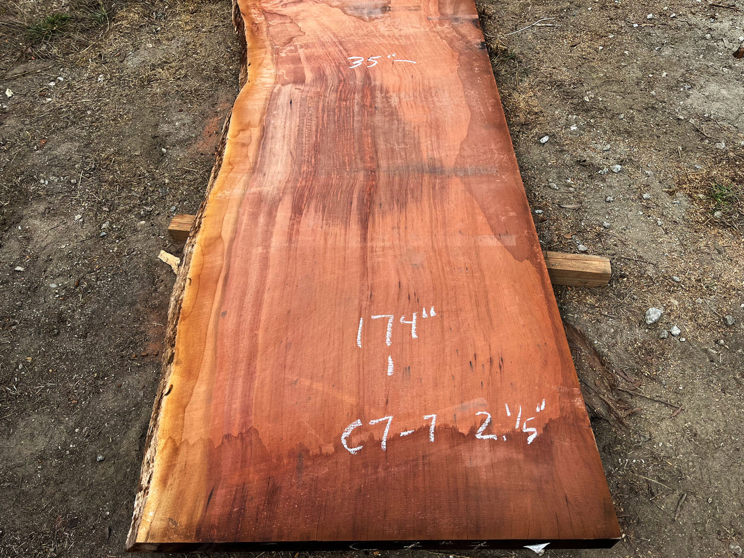 Giant Sequoia Live Edge Slab – 14.5' x 44" x 2.5" – Old Growth, Air-Dried – #C7-7
