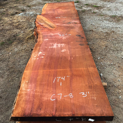 Giant Sequoia Live Edge Slab – 14.5' x 46" x 3" – Old Growth, Air-Dried – #C7-8