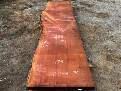 Giant Sequoia Live Edge Slab – 14.5' x 46" x 3" – Old Growth, Air-Dried – #C7-8