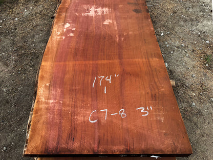Giant Sequoia Live Edge Slab – 14.5' x 46" x 3" – Old Growth, Air-Dried – #C7-8