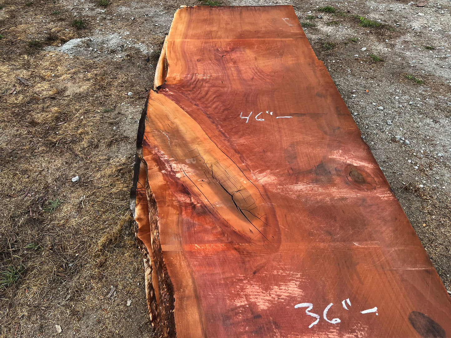 Giant Sequoia Live Edge Slab – 14.5' x 46" x 3" – Old Growth, Air-Dried – #C7-8