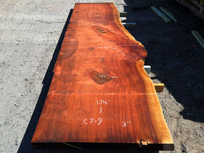 Giant Sequoia Live Edge Slab – 14.5' x 45" x 3" – Old Growth, Air-Dried – #C7-9