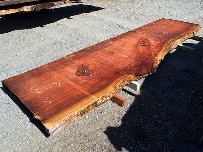 Giant Sequoia Live Edge Slab – 14.5' x 45" x 3" – Old Growth, Air-Dried – #C7-9