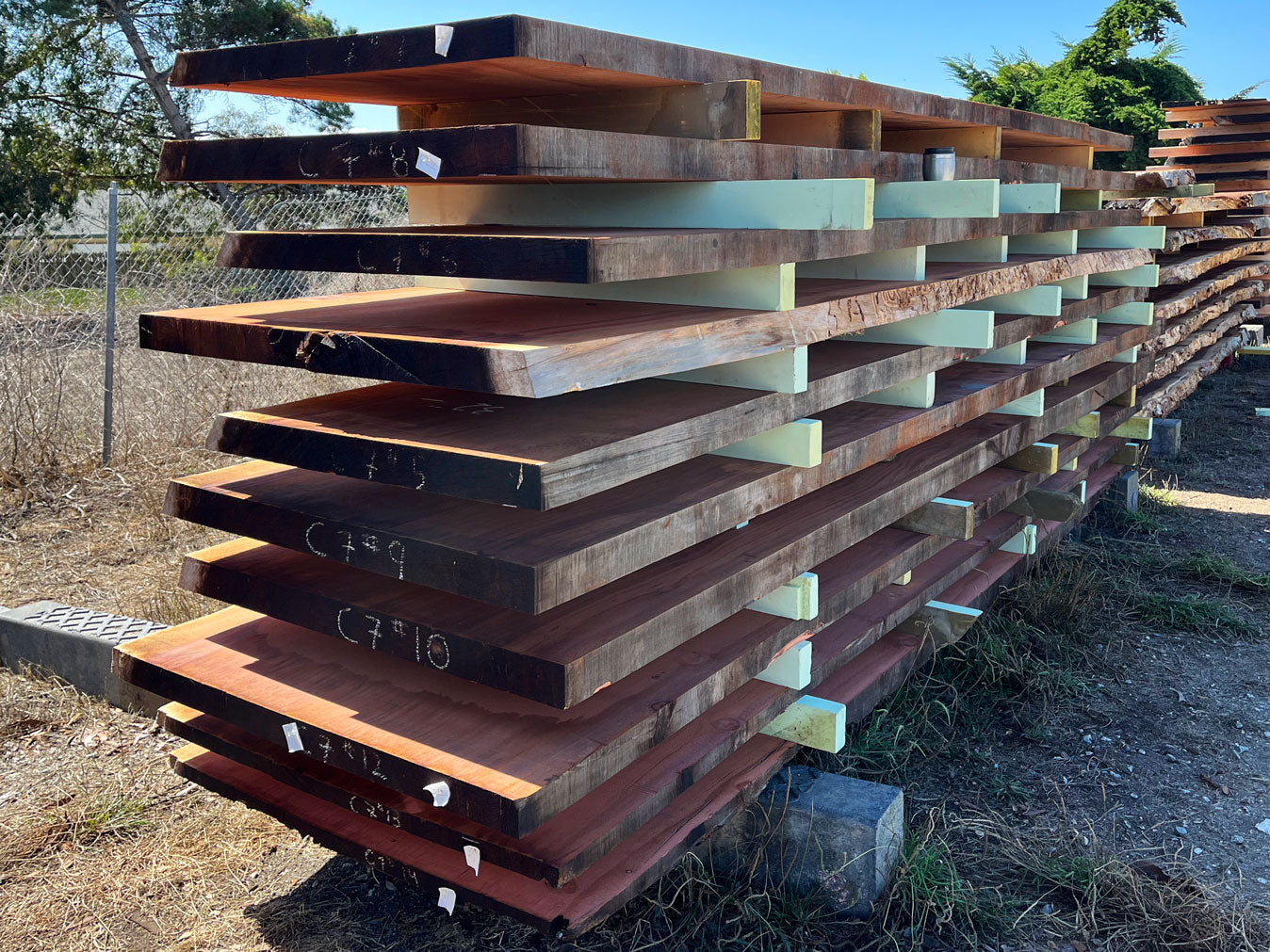 Giant Sequoia Live Edge Slab – 14.5' x 44" x 2.5" – Old Growth, Air-Dried – #C7-7