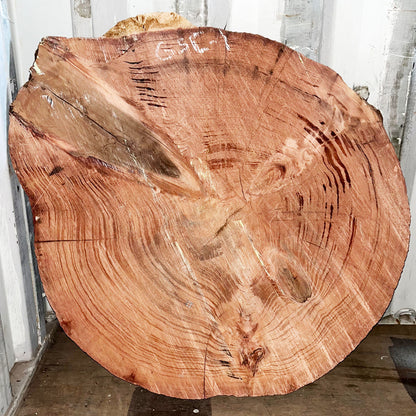 Giant Sequoia Live Edge Cookie / Round – 42" x 36" x 2.5" – Old Growth, Air-Dried – #GSC-1