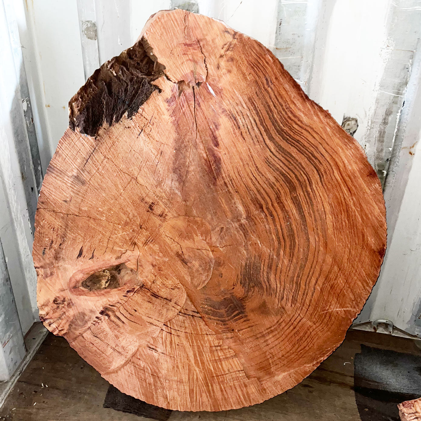 Giant Sequoia Live Edge Cookie / Round – 42" x 36" x 2.5" – Old Growth, Air-Dried – #GSC-1