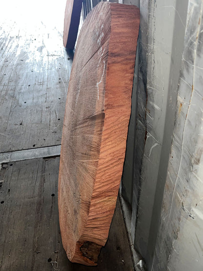 Giant Sequoia Live Edge Cookie / Round – 36" x 33.5" x 2.5" – Old Growth, Air-Dried – #GSC-12