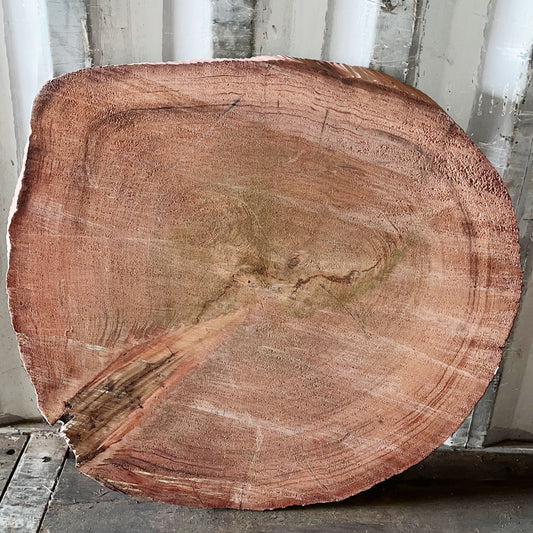 Giant Sequoia Live Edge Cookie / Round – 36" x 33.5" x 2.5" – Old Growth, Air-Dried – #GSC-12