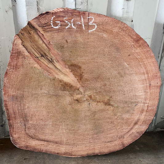 Giant Sequoia Live Edge Cookie / Round – 38" x 33.5" x 2.5" – Old Growth, Air-Dried – #GSC-13