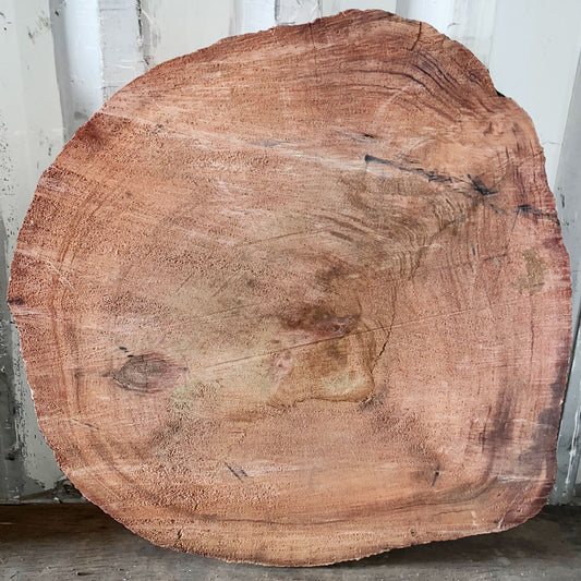 Giant Sequoia Live Edge Cookie / Round – 38" x 33.5" x 2.5" – Old Growth, Air-Dried – #GSC-13