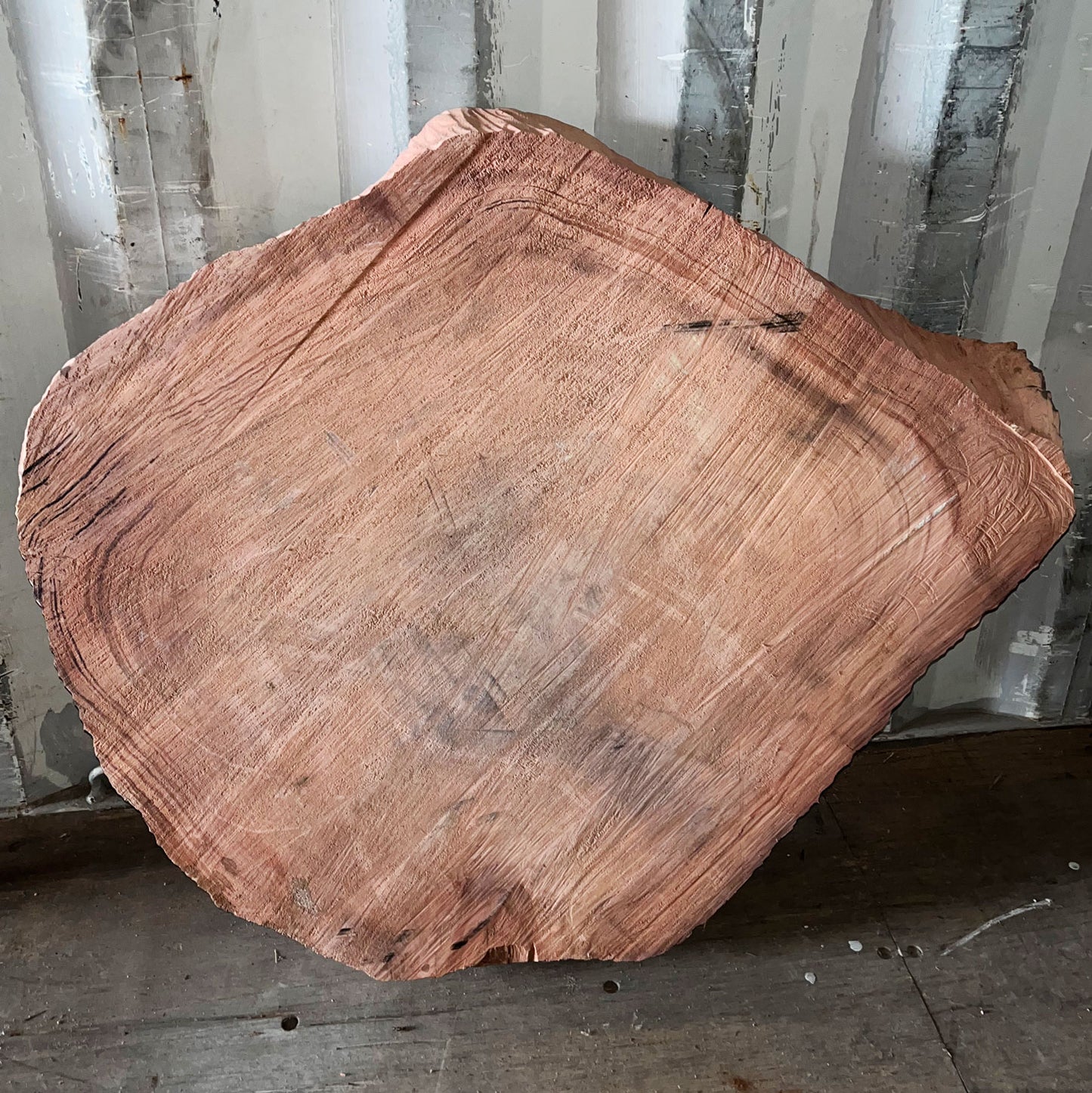 Giant Sequoia Live Edge Cookie / Round – 36" x 32" x 3.25" – Old Growth, Air-Dried – #GSC-14