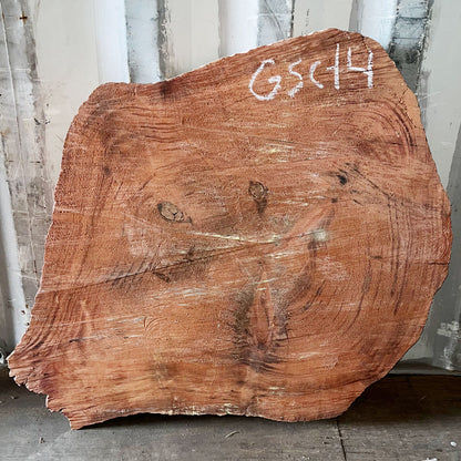 Giant Sequoia Live Edge Cookie / Round – 36" x 32" x 3.25" – Old Growth, Air-Dried – #GSC-14