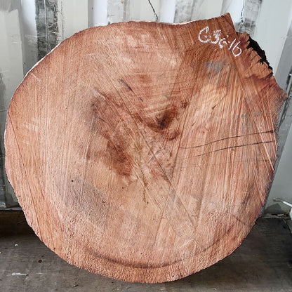 Giant Sequoia Live Edge Cookie / Round – 43" x 41" x 2" – Old Growth, Air-Dried – #GSC-16