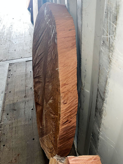 Giant Sequoia Live Edge Cookie / Round – 41" x 38.5" x 3" – Old Growth, Air-Dried – #GSC-17