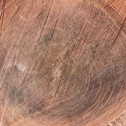 Giant Sequoia Live Edge Cookie / Round – 41" x 38.5" x 3" – Old Growth, Air-Dried – #GSC-17