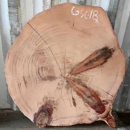 Giant Sequoia Live Edge Cookie / Round – 42" x 40.5" x 1.5" – Old Growth, Air-Dried – #GSC-18