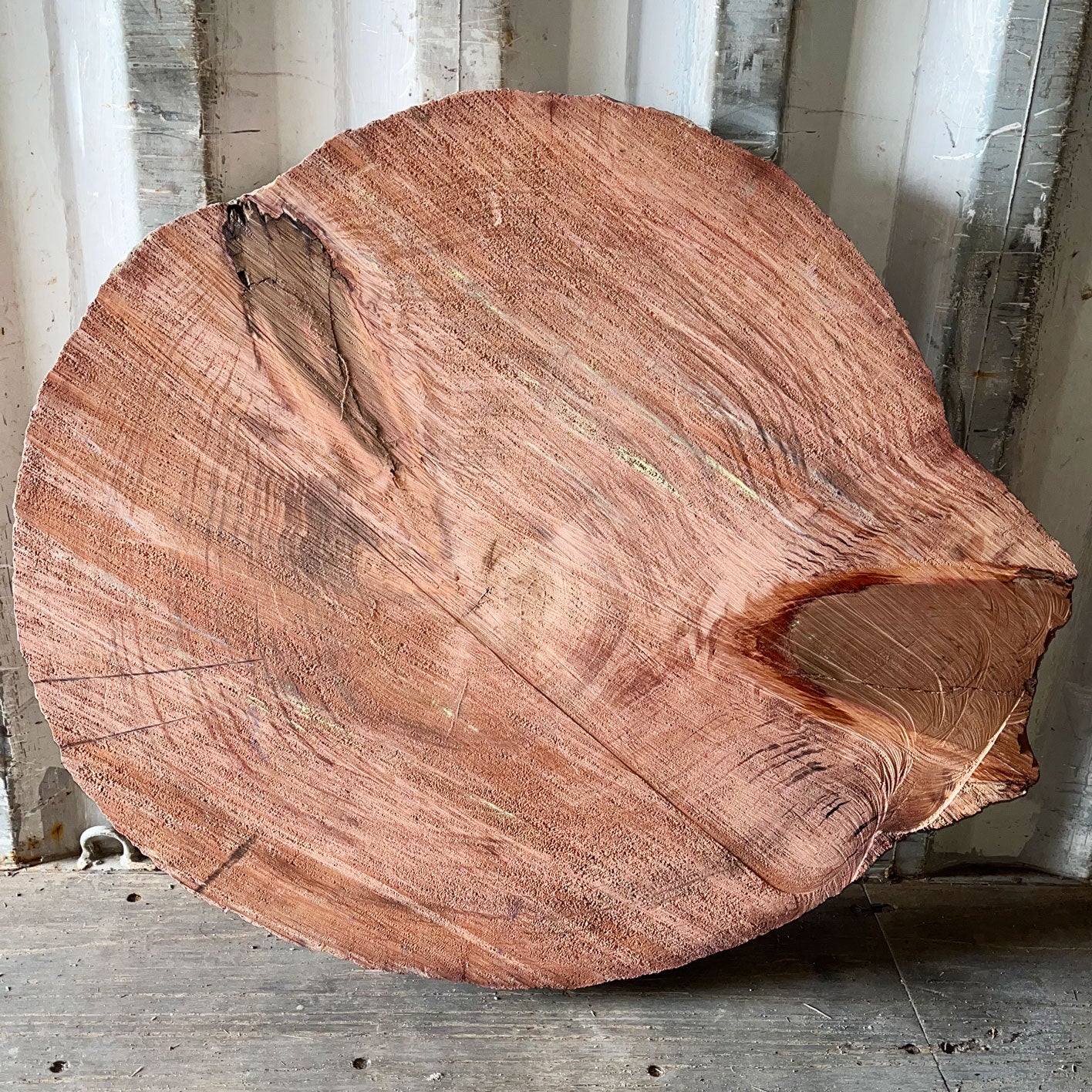 Giant Sequoia Live Edge Cookie / Round – 38" x 34" x 2.5" – Old Growth, Air-Dried – #GSC-19