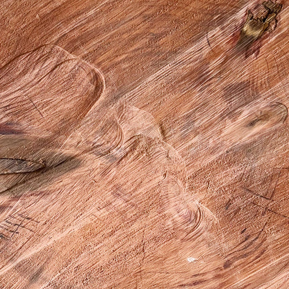 Giant Sequoia Live Edge Cookie / Round – 38" x 34" x 2.5" – Old Growth, Air-Dried – #GSC-19