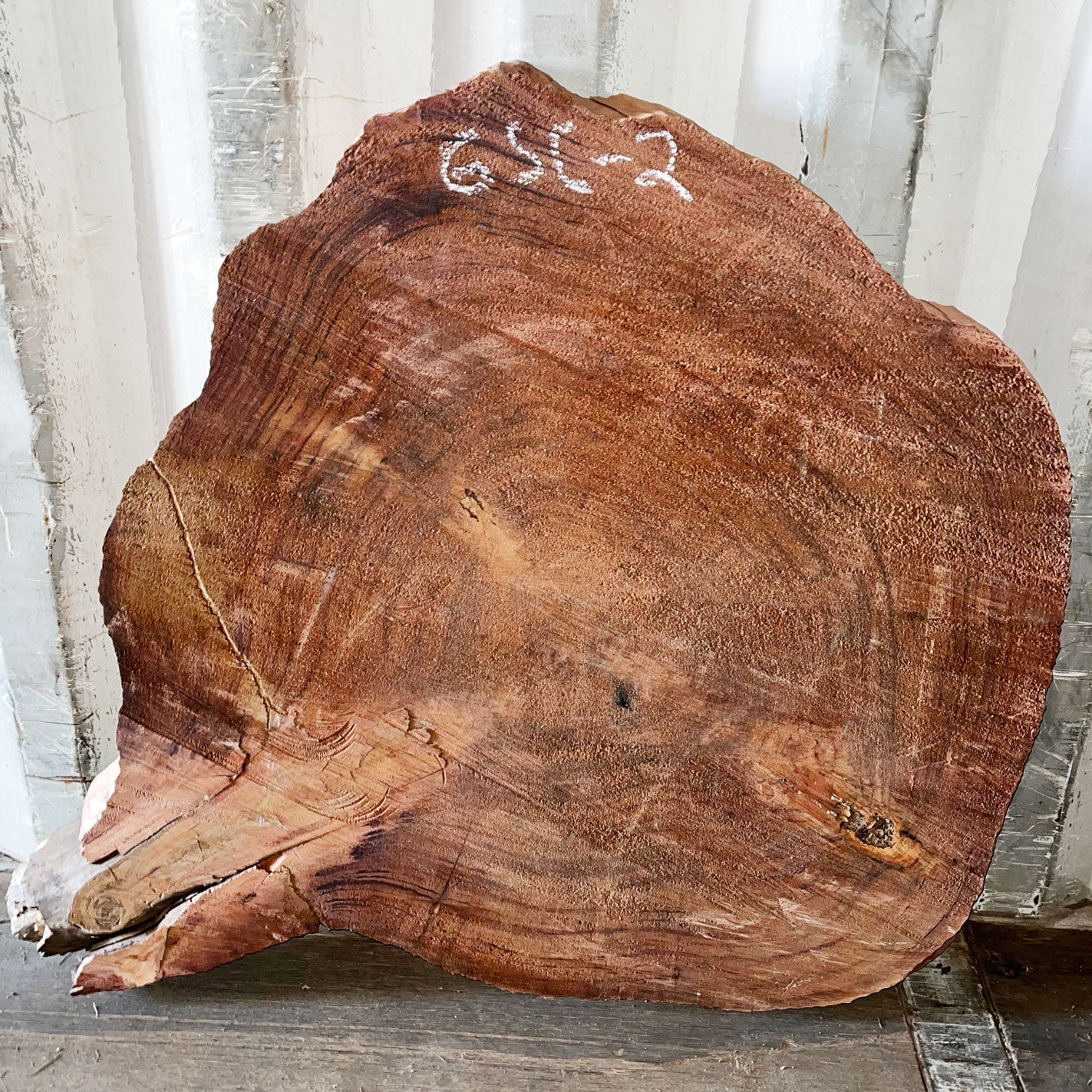 Giant Sequoia Live Edge Cookie / Round – 36" x 32" x 2.75" – Old Growth, Air-Dried – #GSC-2