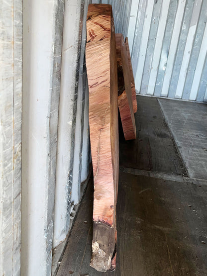 Giant Sequoia Live Edge Cookie / Round – 36" x 32" x 2.75" – Old Growth, Air-Dried – #GSC-2