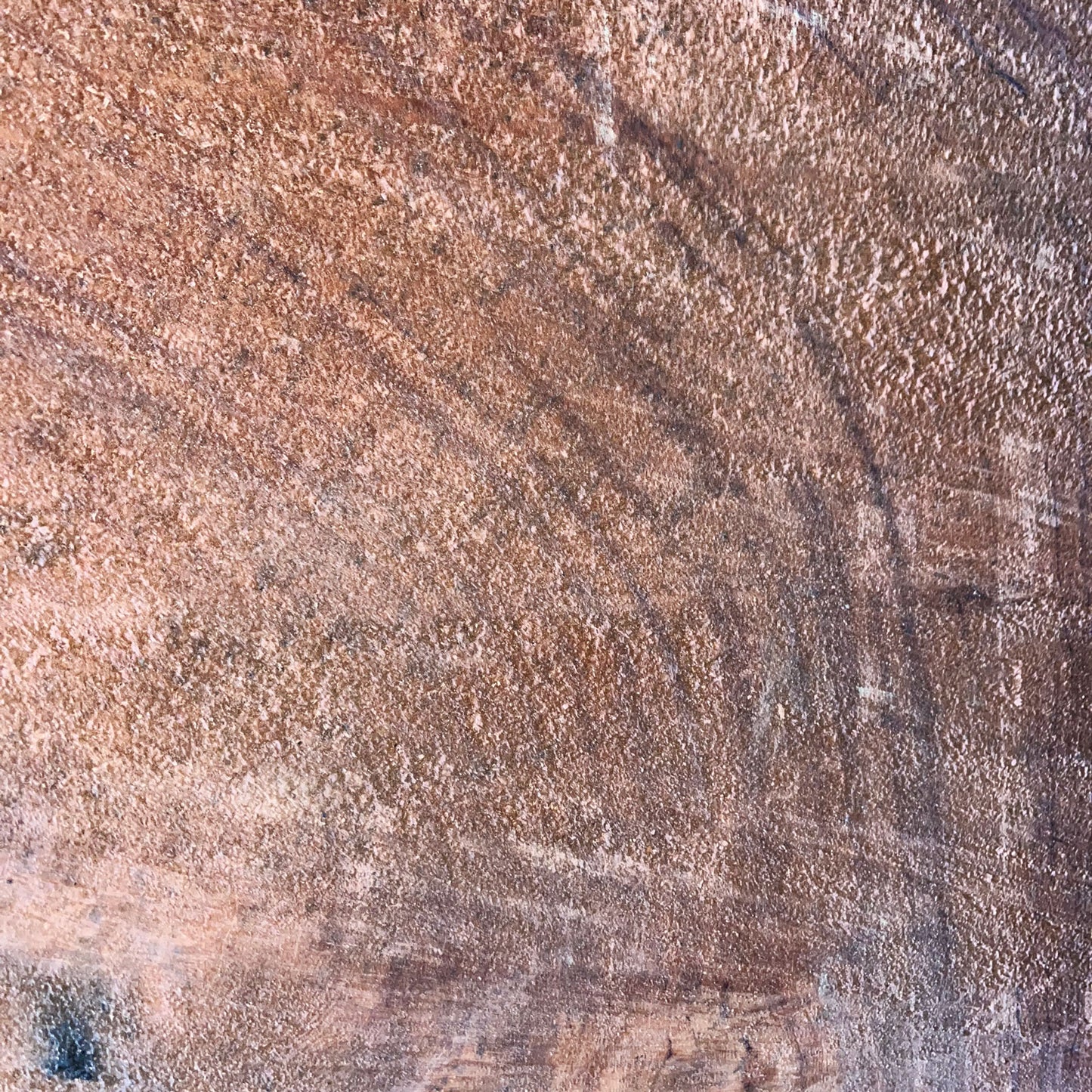 Giant Sequoia Live Edge Cookie / Round – 36" x 32" x 2.75" – Old Growth, Air-Dried – #GSC-2