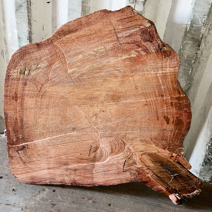 Giant Sequoia Live Edge Cookie / Round – 36" x 32" x 2.75" – Old Growth, Air-Dried – #GSC-2