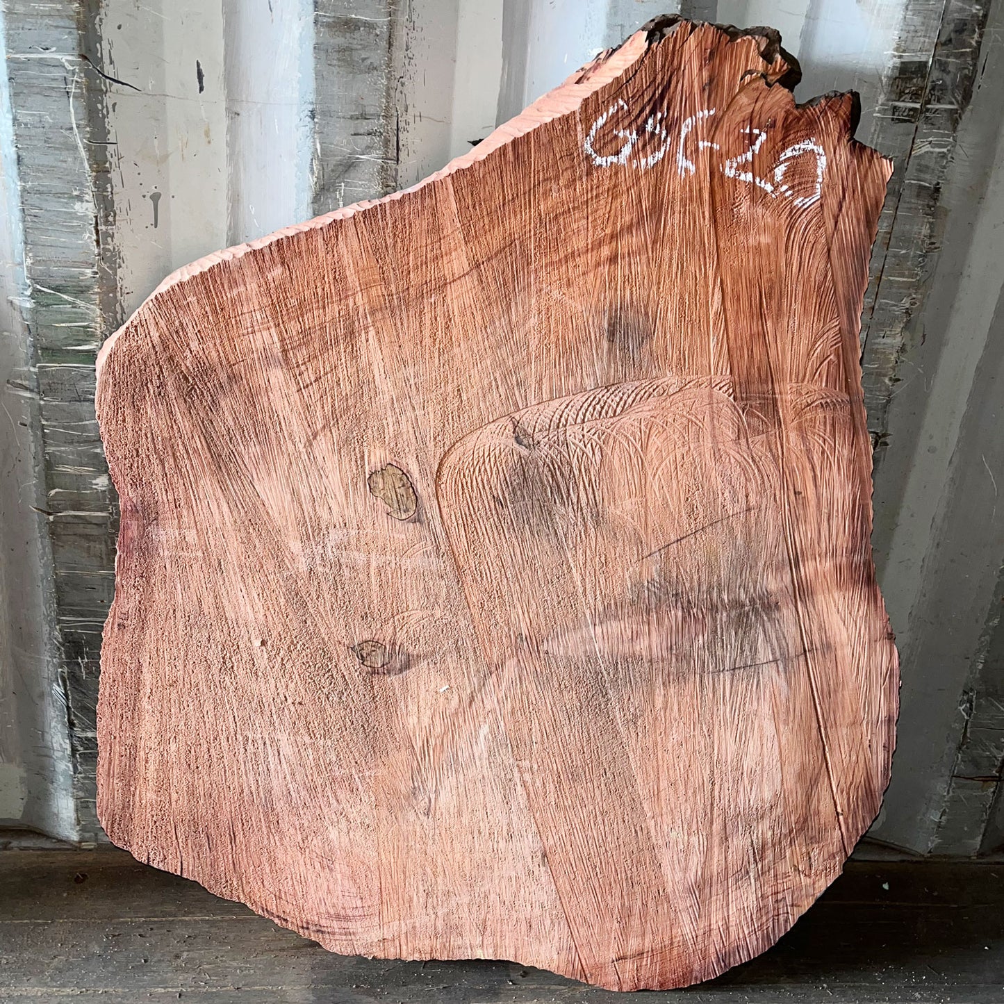Giant Sequoia Live Edge Cookie / Round – 33" x 29.5" x 3" – Old Growth, Air-Dried – #GSC-20