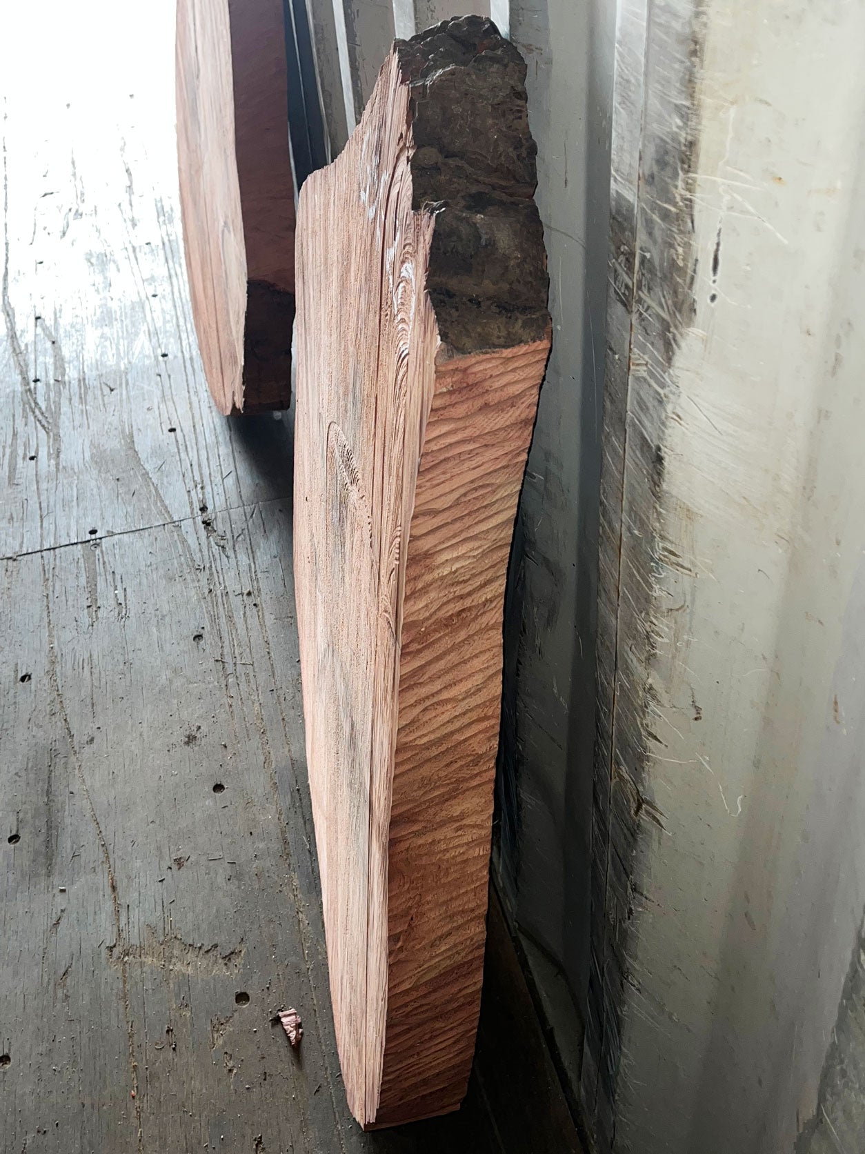 Giant Sequoia Live Edge Cookie / Round – 33" x 29.5" x 3" – Old Growth, Air-Dried – #GSC-20