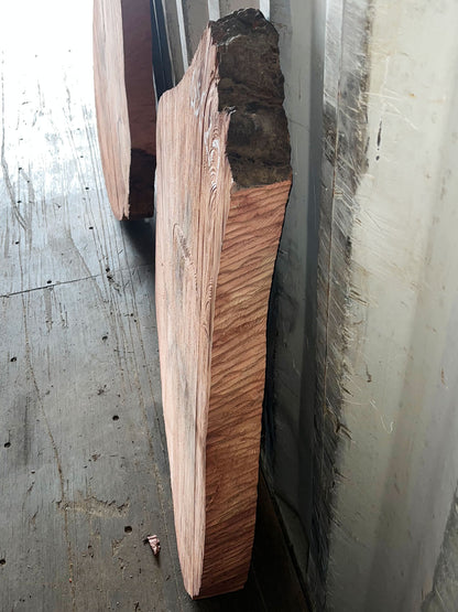 Giant Sequoia Live Edge Cookie / Round – 33" x 29.5" x 3" – Old Growth, Air-Dried – #GSC-20