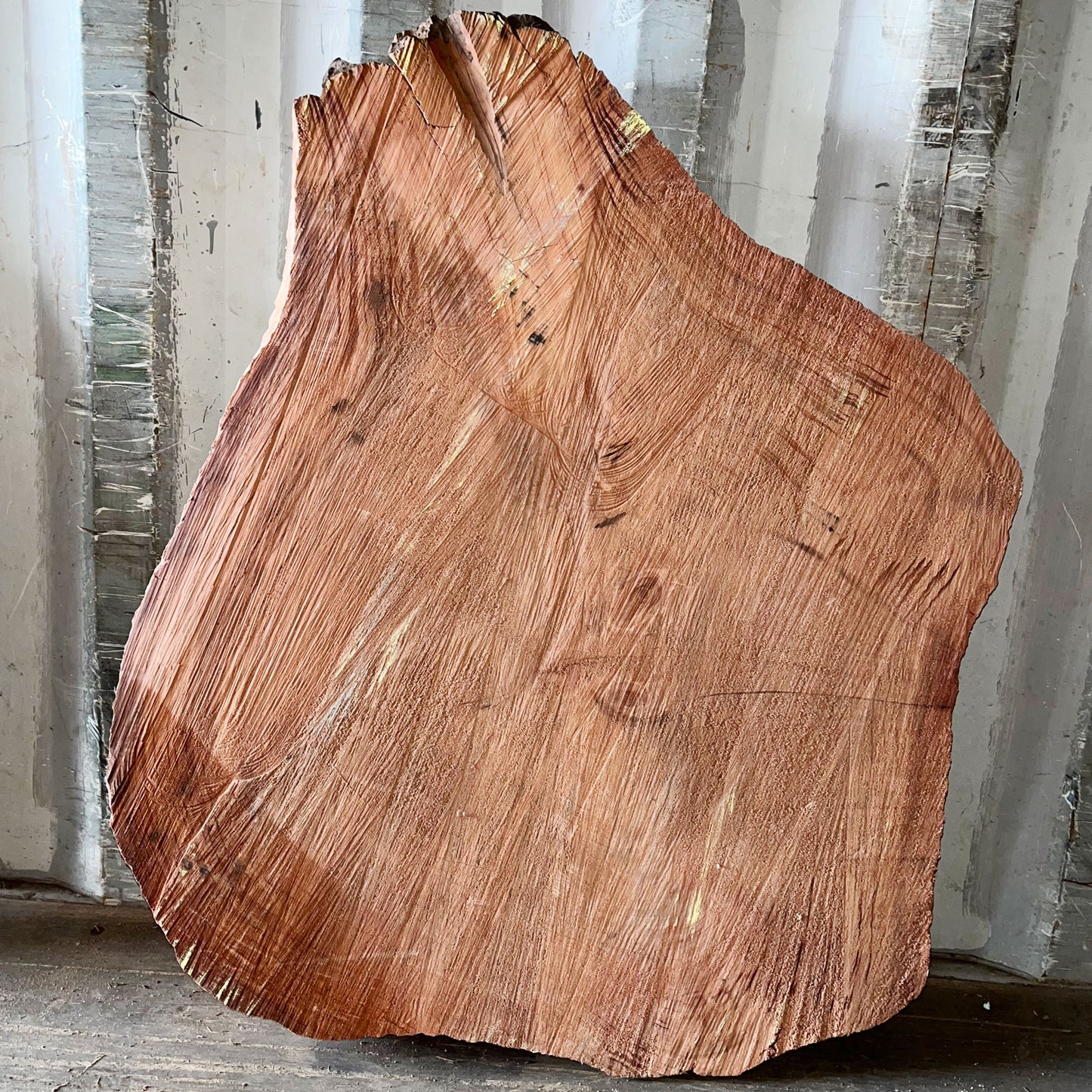 Giant Sequoia Live Edge Cookie / Round – 33" x 29.5" x 3" – Old Growth, Air-Dried – #GSC-20