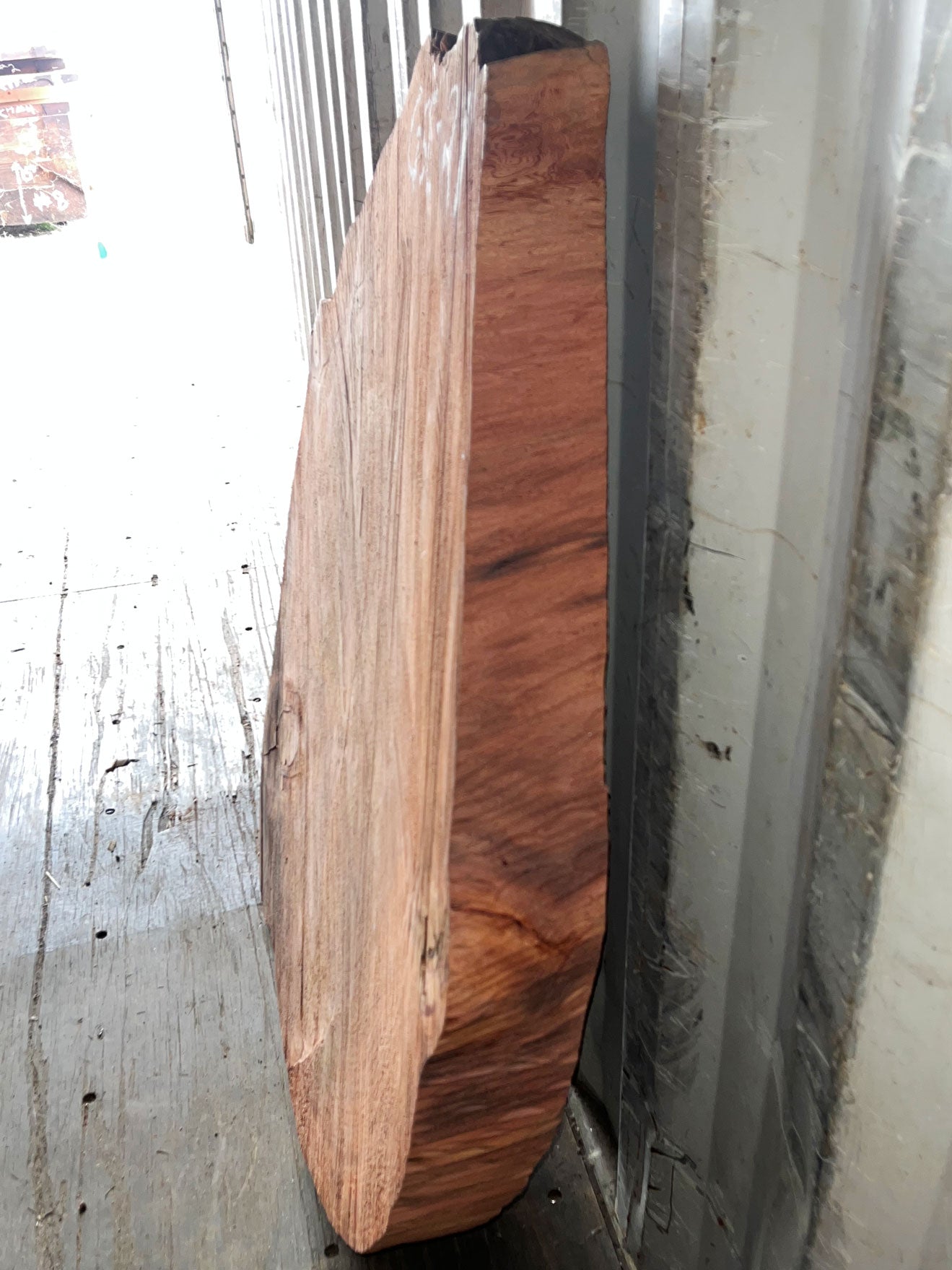 Giant Sequoia Live Edge Cookie / Round – 45" x 43" x 3.5" – Old Growth, Air-Dried – #GSC-21